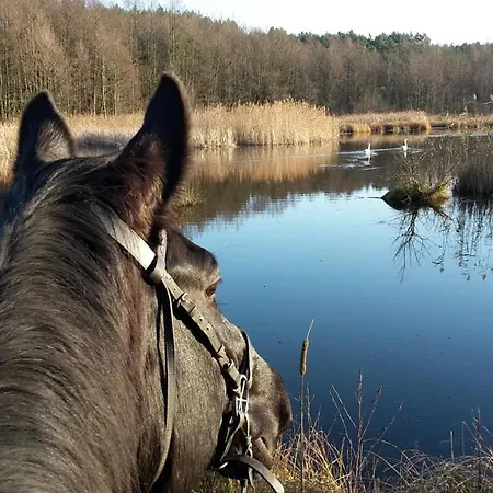 Agroturystyka Polana Harmonii Przytoczna Exteriér fotografie