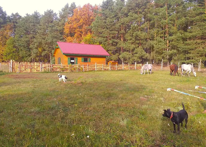 Agroturystyka Polana Harmonii