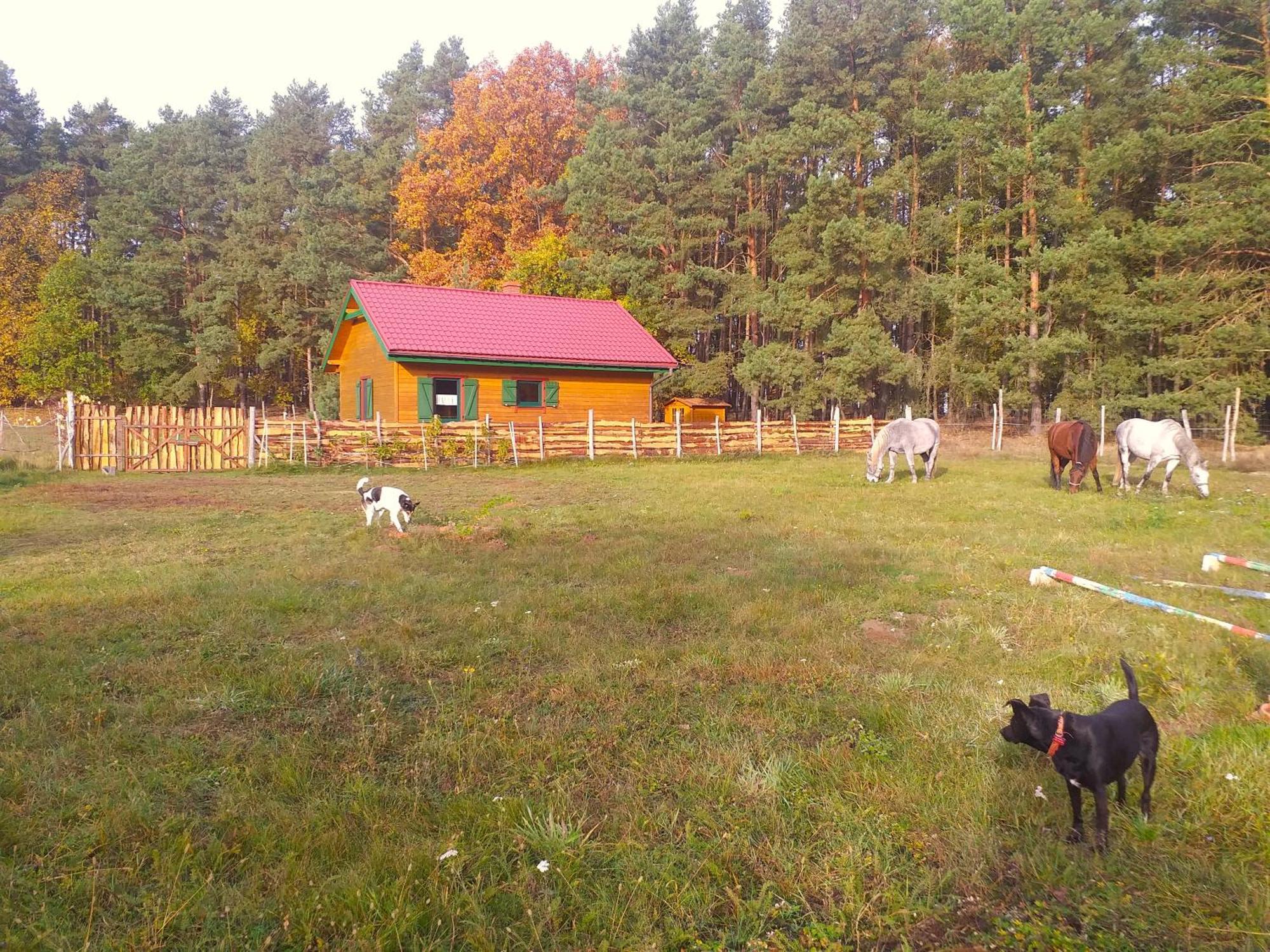 Chalet Polana Harmonii *